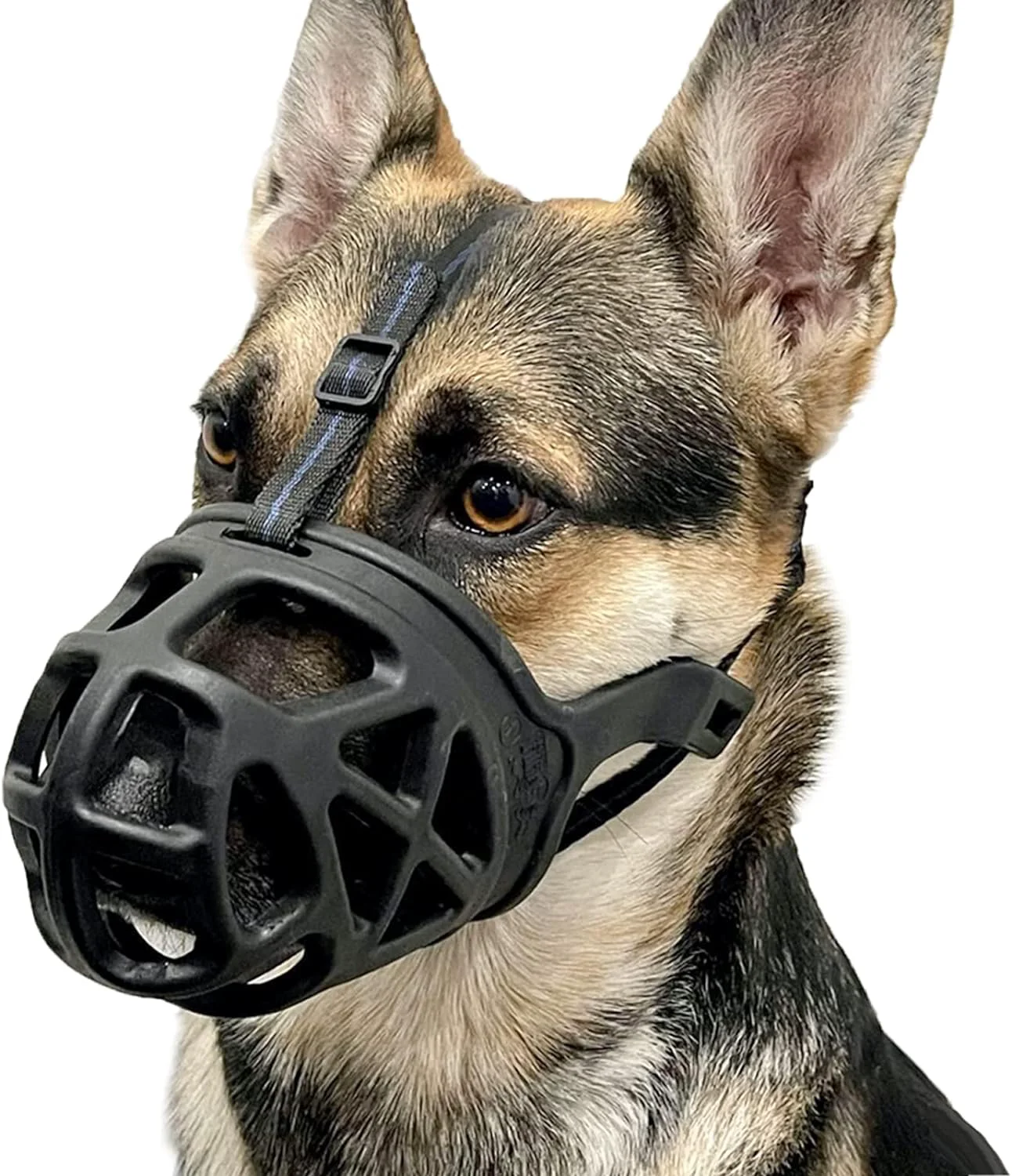Classic BARKLESS Dog Muzzle Basket Muzzle for Biting Chewing and Scavenging Humane Cage Mouth Cover for Grooming and Training Small Medium Large Aggressive Reactive Dogs XS Black Certified