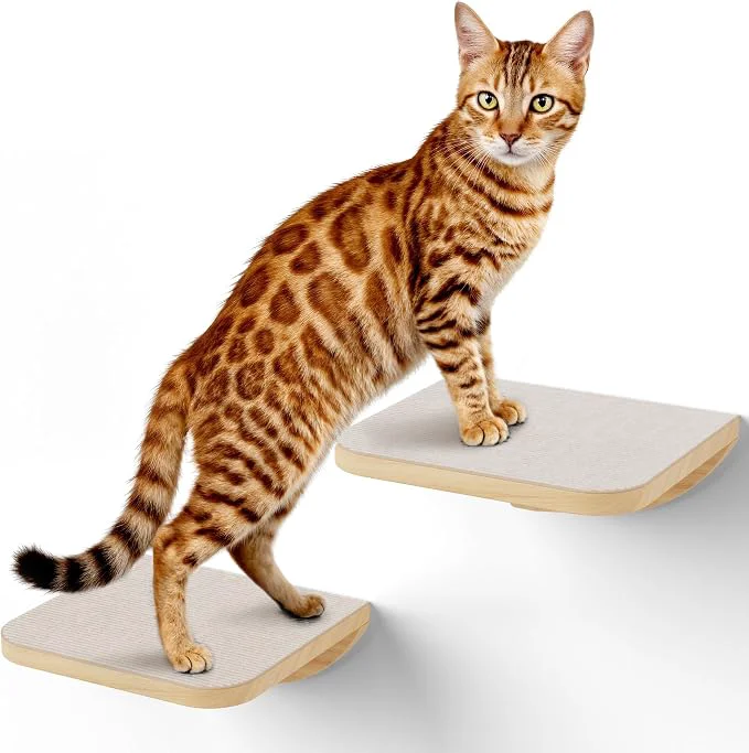 Contemporary Wall Mounted Cat Steps 2 Pack – Square Wood Cats Shelves Stylish