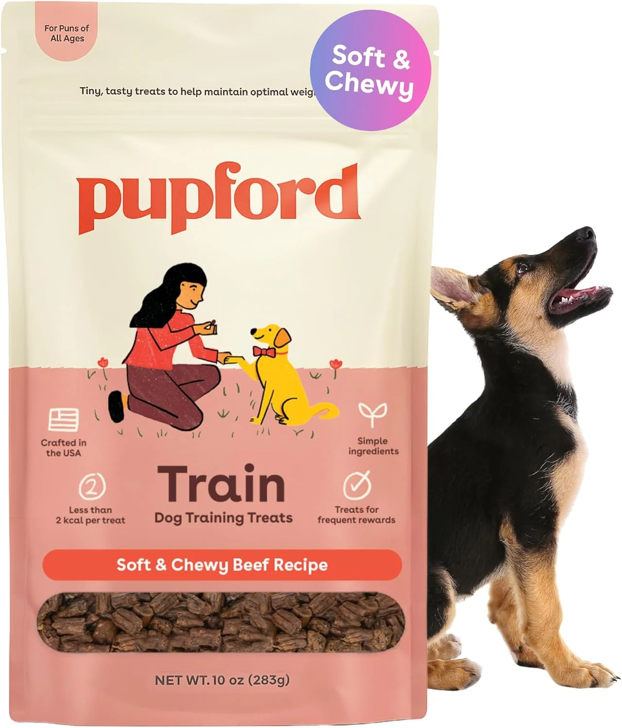 Carefully Designed Pupford Soft Chewy Training Treats for Dogs Puppies Beef 10 oz Green