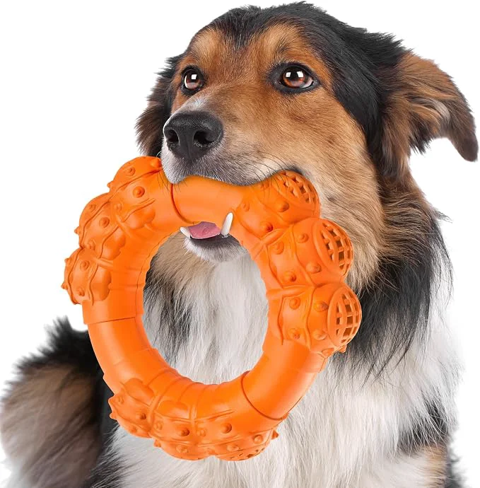 Lightweight Indestructible Dog Chew Ring Toys Authentic