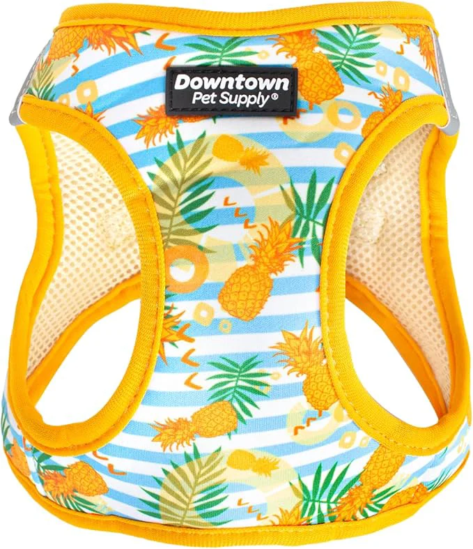 Carefully Designed Downtown Pet Supply Step-in Dog Harness – No Pull Adjustable Padded Mesh Luxury