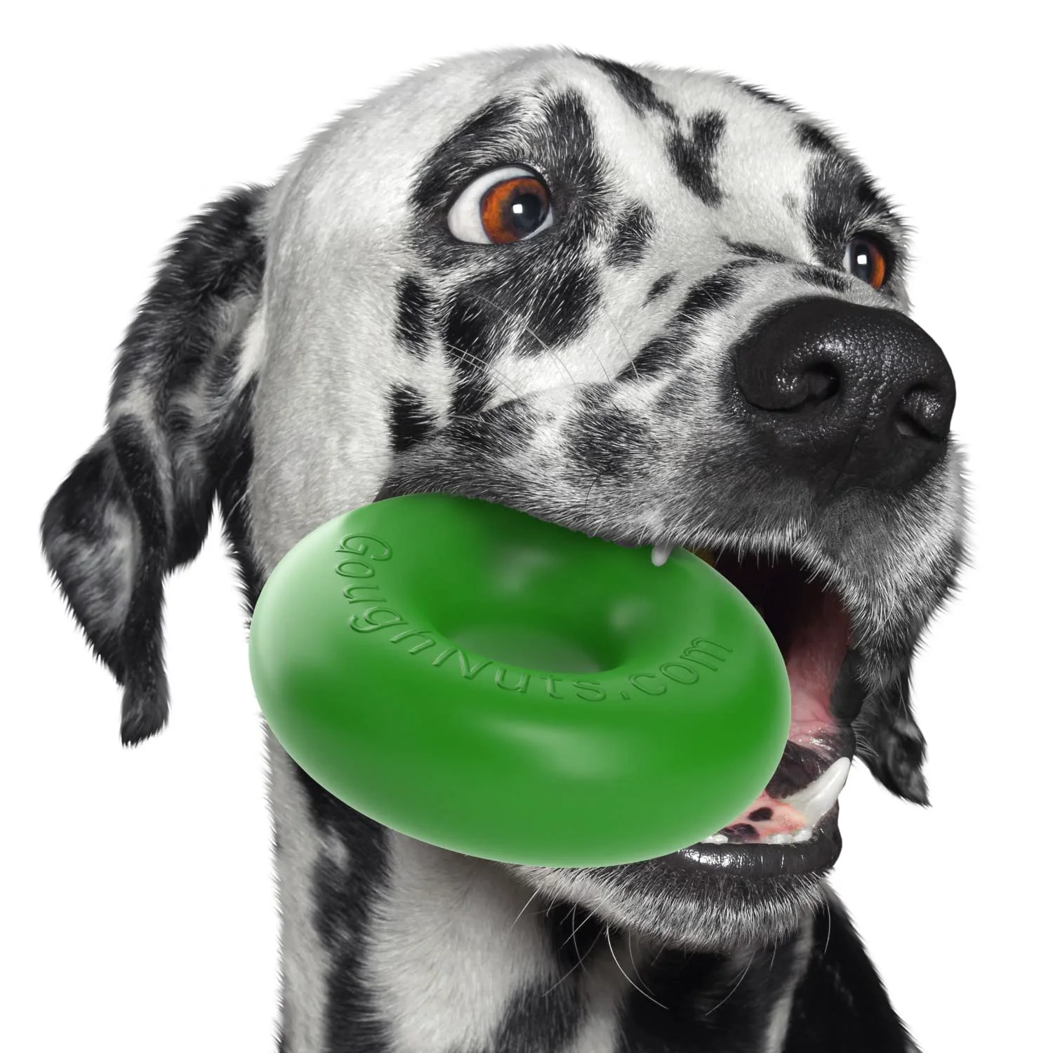 Casual Goughnuts Durable Ring Toy for Aggressive Chewers — Heavy-Duty Green Dog Toy Medium Breeds Trusted