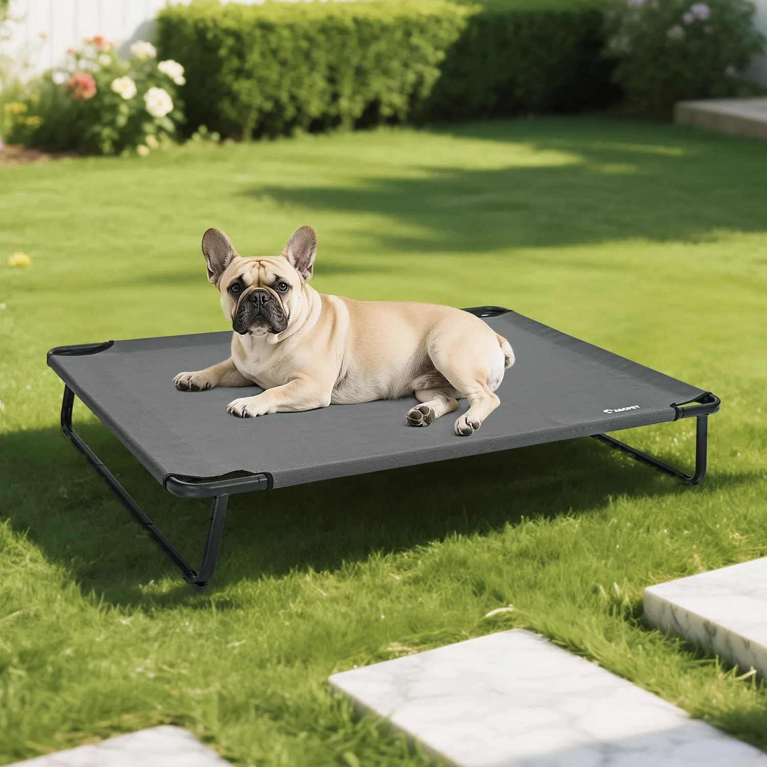 Artisan Cooling d Dog Bed Raised Outdoor Dog Bed Waterproof Pet Beds Cots Stable and Easy Assembly Teslin Fabric with 1.2mm Thick Iron Frame Breathable Ultra-Sturdy，Grey 32 25.2 7.1 Next-Generation
