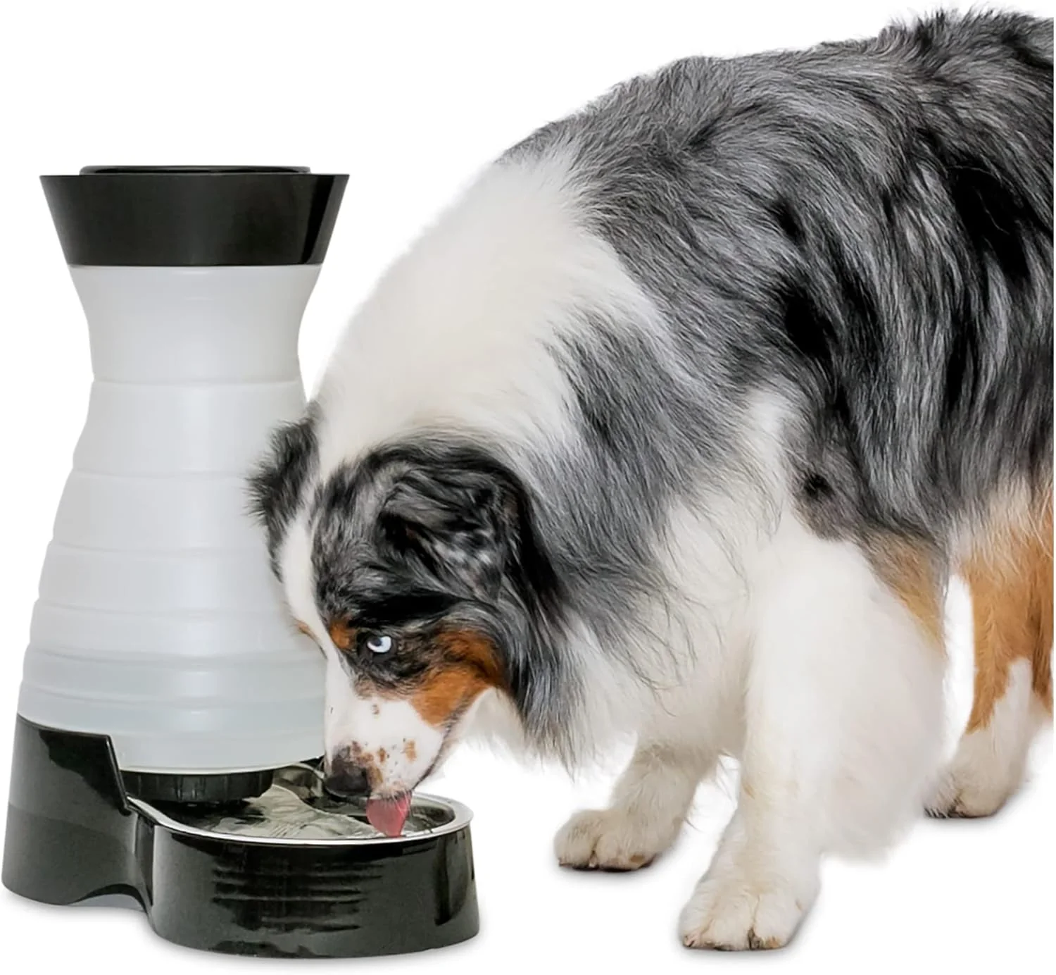 Easy-to-Use PetSafe Healthy Pet Water Station - Large 320 oz Capacity - Gravity Pet Water Fountain Automatic Cat Water Fountain or Dog Water Fountain - Water Dispenser - Removable Stainless Steel Bowl Included Efficient