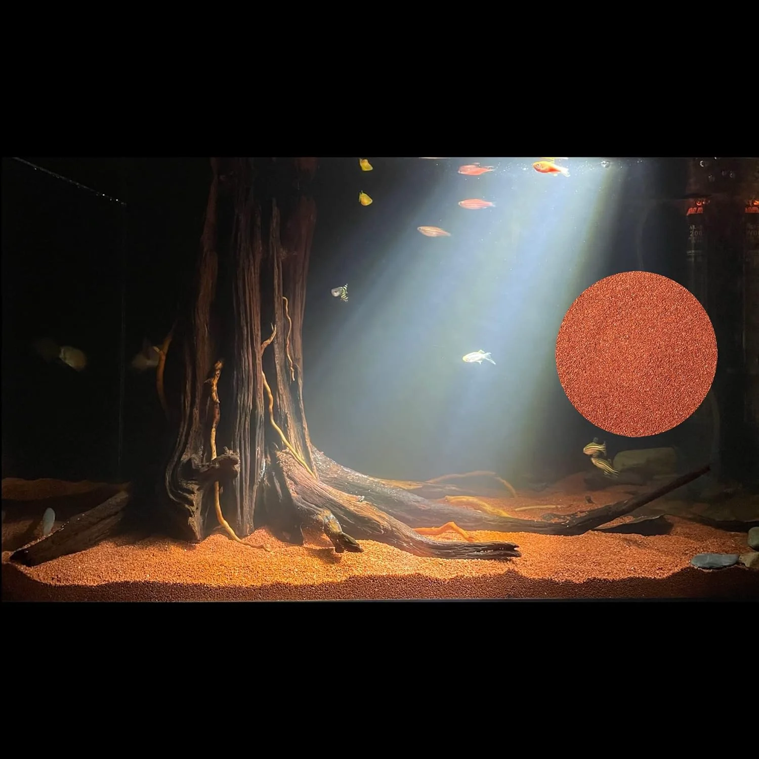 Unique 11lb Natural South American Rainforest Sand Aquarium red Sand Lava Rock Soil Red Lava Rock Sand Succulent Sand Fish Tank Sand Aquarium Substrate Sand Elite