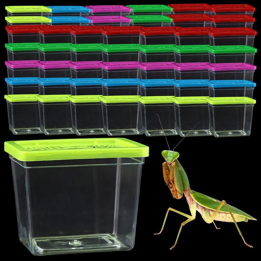 Organic 48 Pack Small Plastic Reptile Carrier Tarantula Enclosure Breeding Box Hatching Container for Spider Snail Turtle Hermit Crab Insect 3.9 x 2.9 x 3.1 Inch Selected