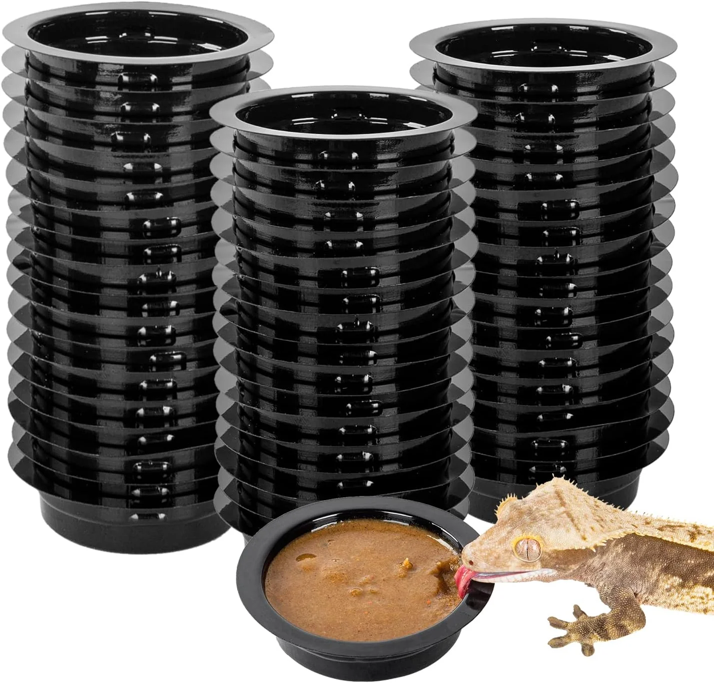Artisan WACOOL Magnetic Reptile Ledge Acrylic Gecko Feeding Ledge with 6PCS Cups Reptile Food Water Feeder Dish for Geckos Iguana Chameleon Pets Cups Luxury