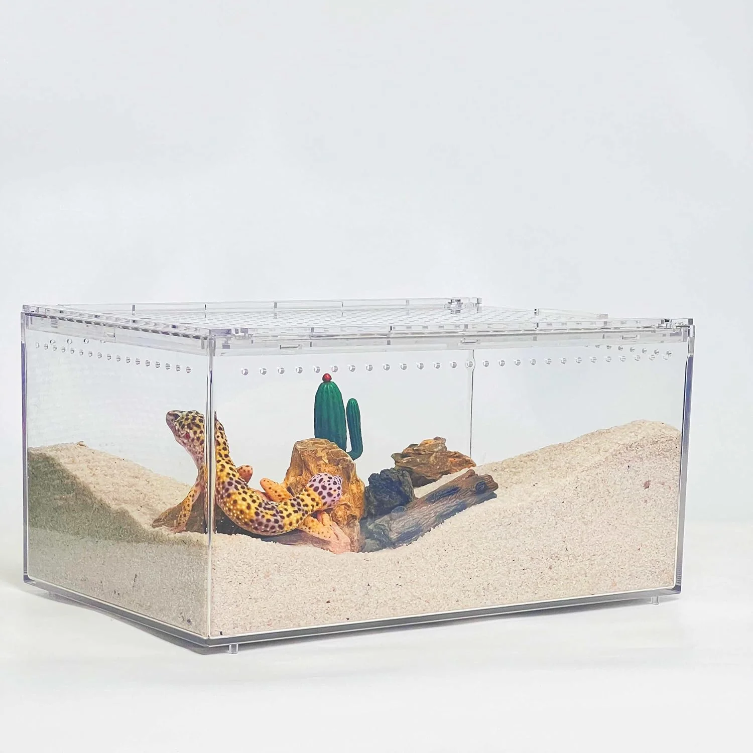 Safe PC Reptile Terrarium Hermit Crab Tank Jumping Spider Lightweight
