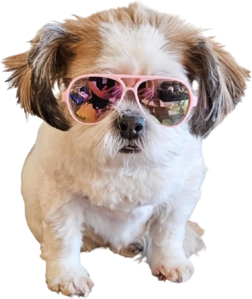 Casual G029 Dog Cat Pet Aviator Sunglasses Glasses for Small Breeds up to 15lbs Pink-Pink Mirror Fine Crafted