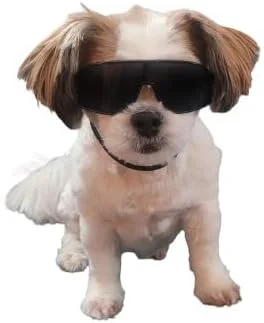 Casual G029 Small Dog Breed 8-18lbs Pet Puppy Cat Sports Turbo Sunglasses Sport Turbo Black Durable