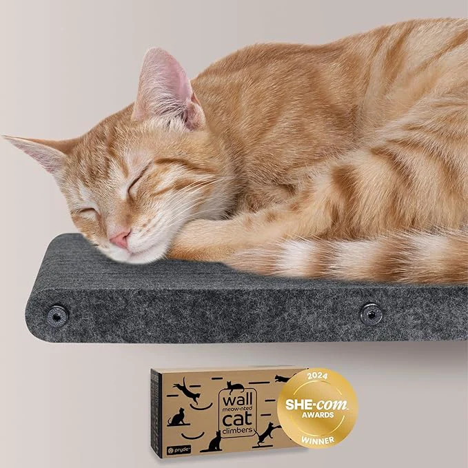 Reliable Wall Mounted Cat Perch Long Shelf by Pryde Pets Organic