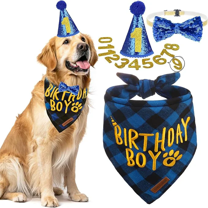 Top-Quality EXPAWLORER Dog Birthday Party Supplies Selected