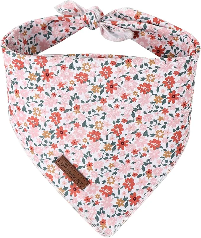 Top-Quality Summer Dog Bandana UP URARA PUP Orange Bandana Dependable