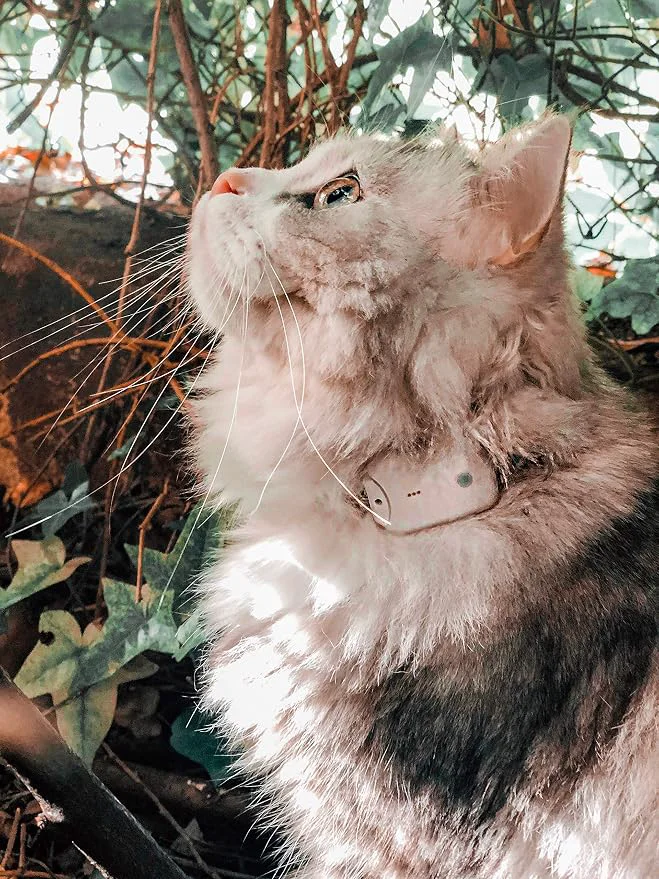 Sustainable Cat Tracker RF Finder Longest Range up to 1600 ft lightest pet Safety Tracking Casual