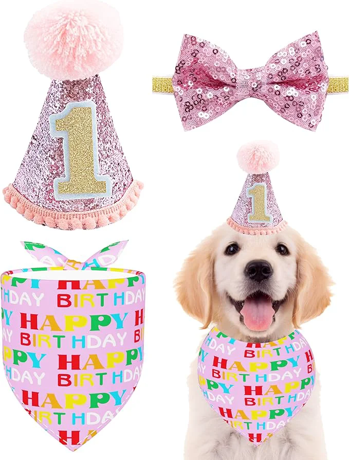 Original Design PET SHOW Small Dog Birthday Party Hat Responsible