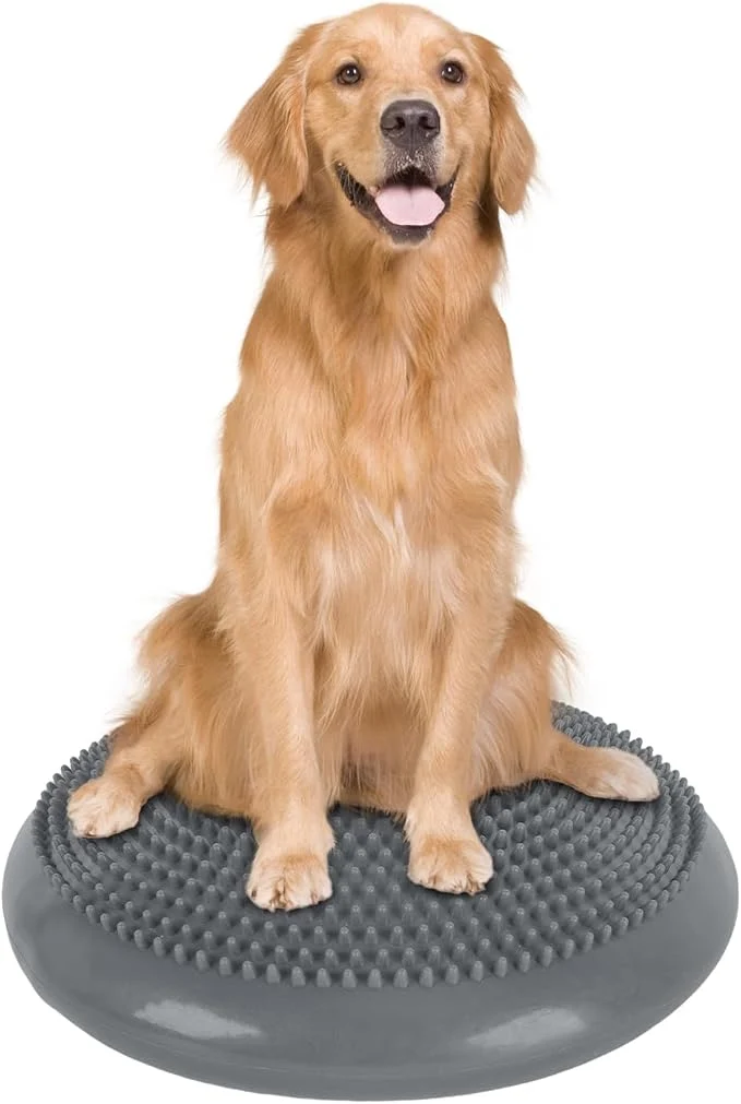 Elite Dog Balance Disc 14 Dog Balance Equipment Selected