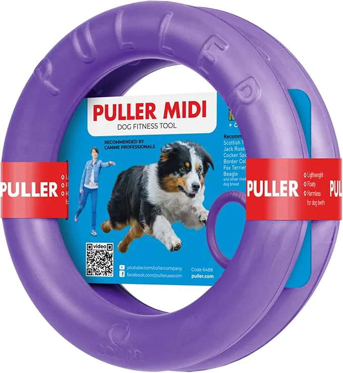 Stylish Puller Outdoor Dog Ring Toys Minimalist