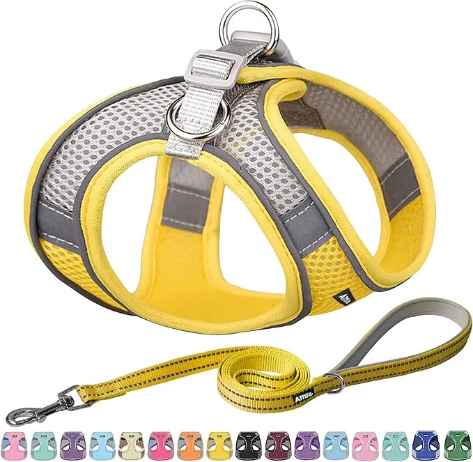 Trendy AIITLE Small Harness for Puppy Breathable
