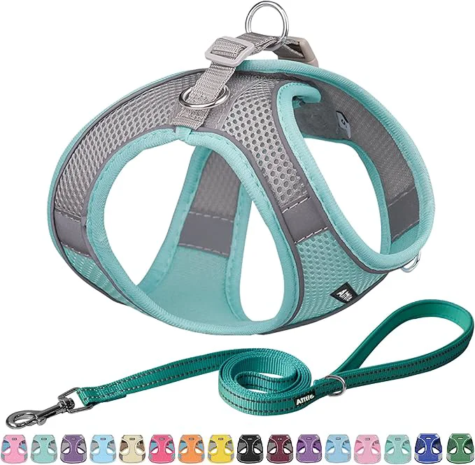Breathable AIITLE Escape Proof Dog Harness Luxury