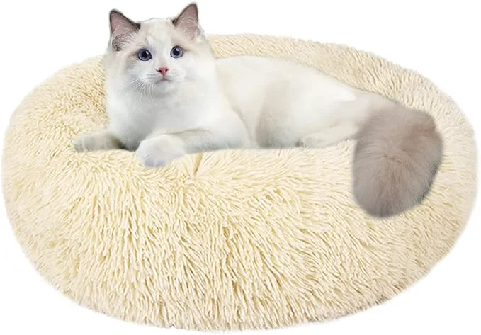 Reusable Cat Beds for Indoor Cats 20 Inch Dog Bed for Small Melium Large Dogs Exceptional