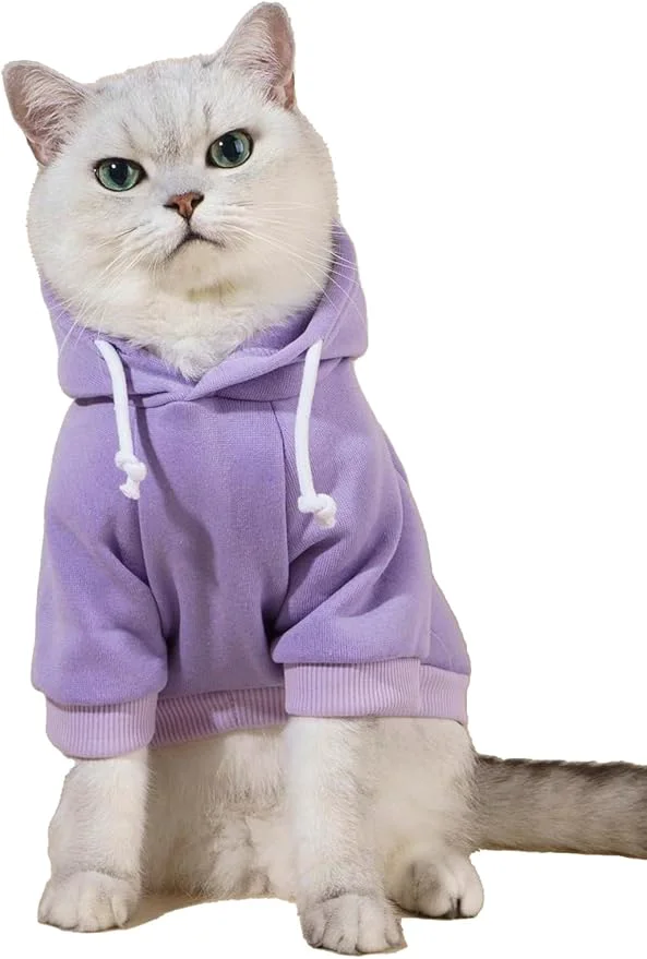 Consistent QWINEE Basic Dog Hoodie Sweatshirt Puppy Sweater Warm Cat Costumes Pet Clothes Luxury
