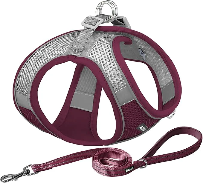 Superior AIITLE Dog Harness Christmas No-Pull Cat Harness Luxury