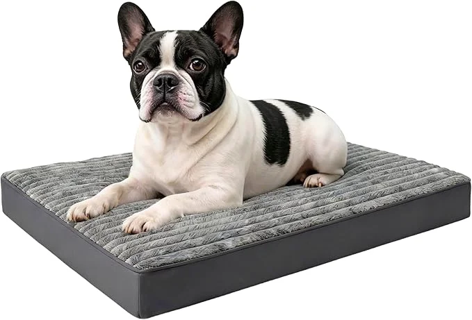 Versatile Small Dog Bed Sized Dogs Orthopedic Flannel Pet Bed High-Grade