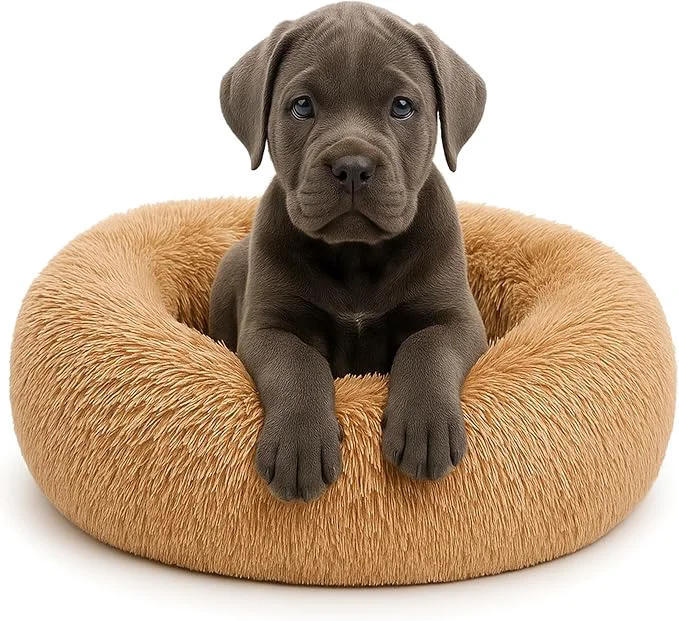 Clean Calming Dog Bed Trusted