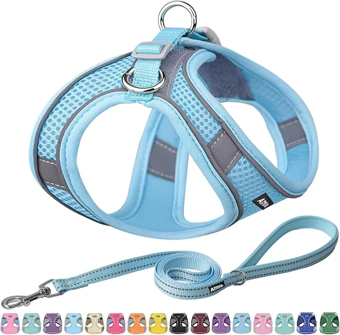 Consistent AIITLE Easy Walk Dog Harness and Leash Set Premium