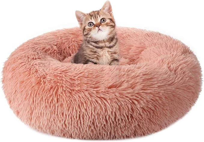 Trendy rabbitgoo Cat Beds for Indoor Cats 20 inches Cat Bed Machine Washable Advanced