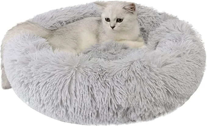 Top-Quality Large Cat Beds for Indoor Cats Relaxed