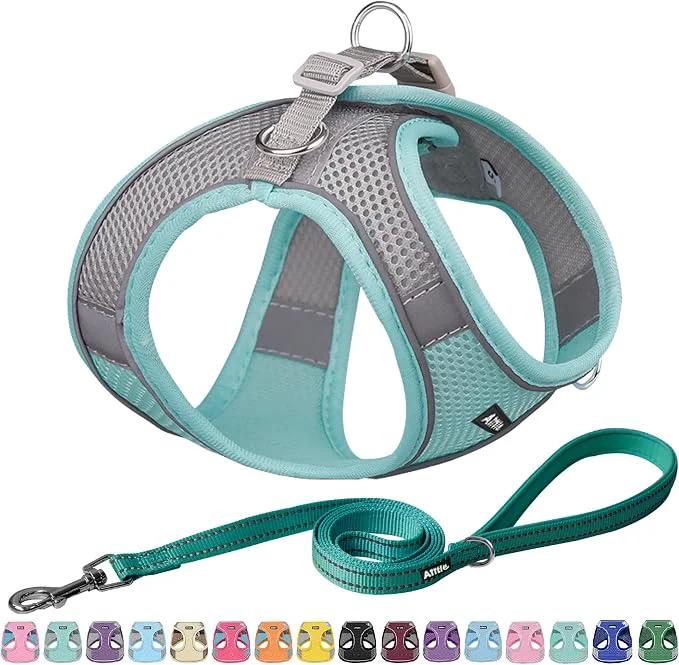 Unique AIITLE Easy Walk Dog Harness and Leash Set Breathable