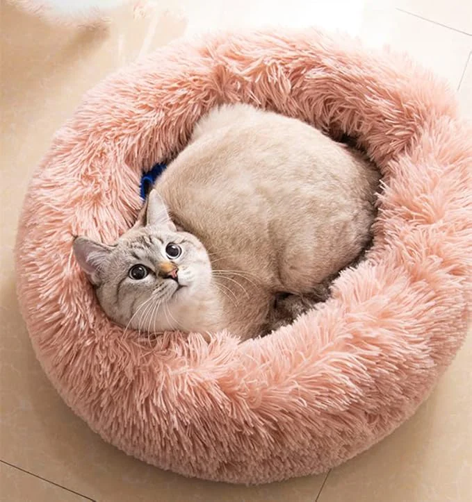Durable Large Cat Beds for Indoor Cats Soft
