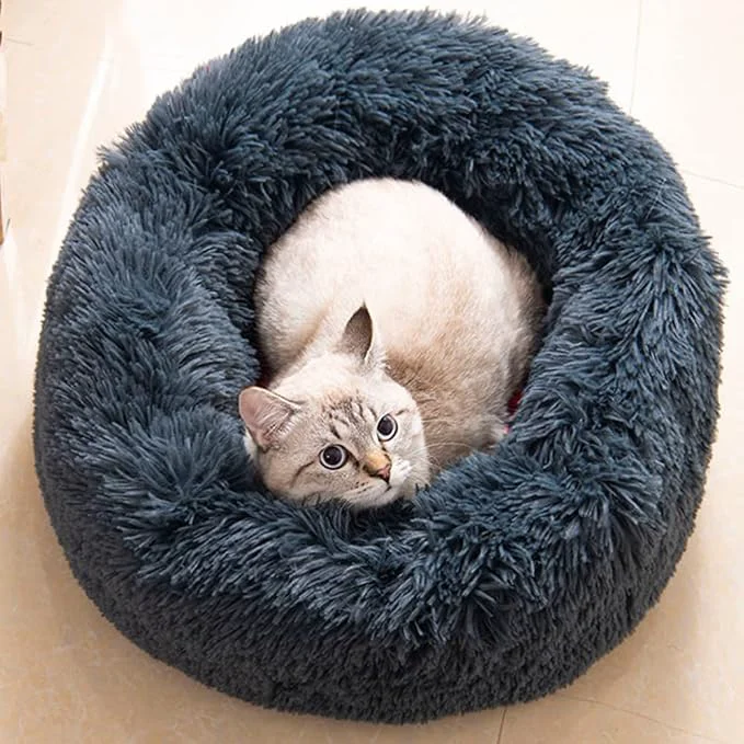 Versatile Cat Beds for Indoor Cats Prestigious