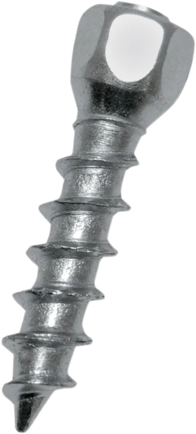 Secure WOODY'S Twist Tire Screws - 25 mm - 100 Pack WST-0625-100 Modern
