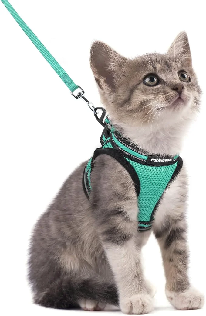 Classic rabbitgoo Cat Harness and Leash Set Premium