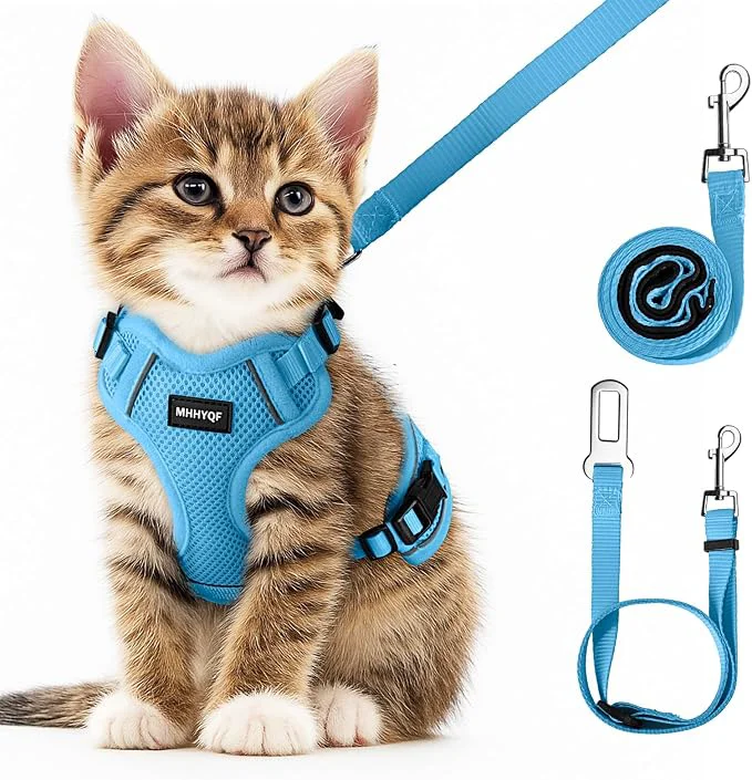 Exceptional Cat Harness and Leash Set for Walking Escape Proof Improved Four Place Modern