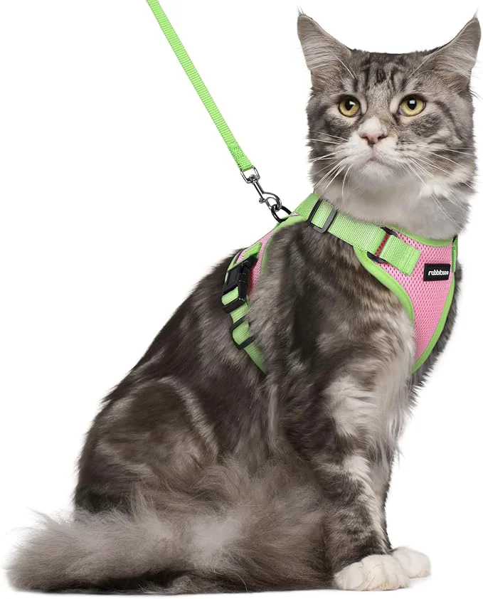 Superior rabbitgoo Cat Harness and Leash Set Escape Proof Soft Adjustable Vest Harnesses Natural