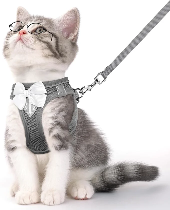 Fine Crafted Cat Vest Harness and Leash Set for Walking Escape Proof Adjustable Kitten World-Class