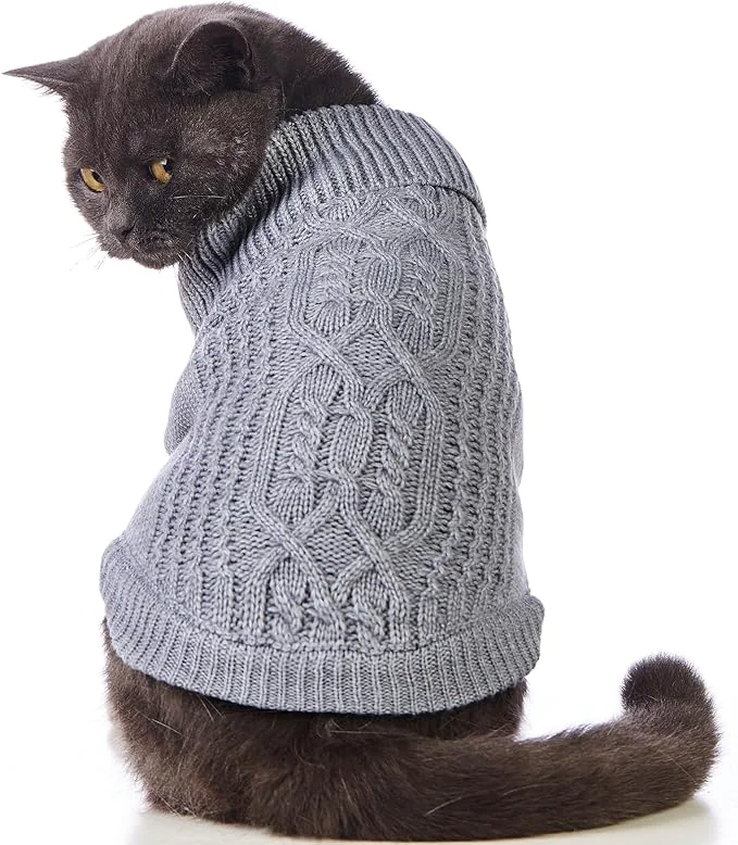 Trendy Stretchy Cat Sweater Luxury