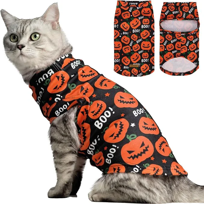 First-Class EXPAWLORER Cat Halloween Sweater Effective