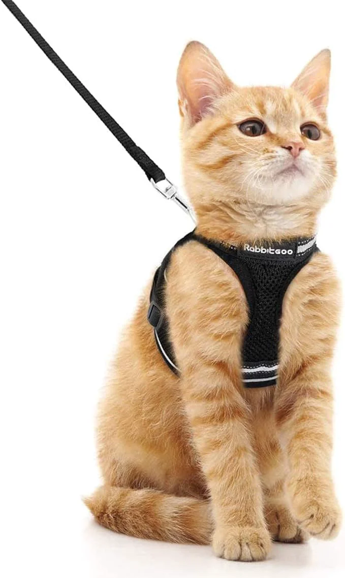 Environmentally Friendly rabbitgoo Cat Harness and Leash Set High-End