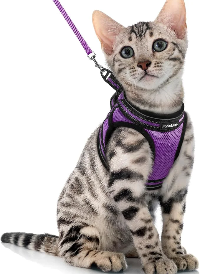 Smooth rabbitgoo Cat Harness and Leash Set Reusable