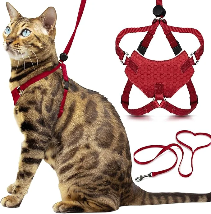 Detailed Houdini™ Escape Proof Kitten Harness and Leash Set by OutdoorBengal – Red Premium Material