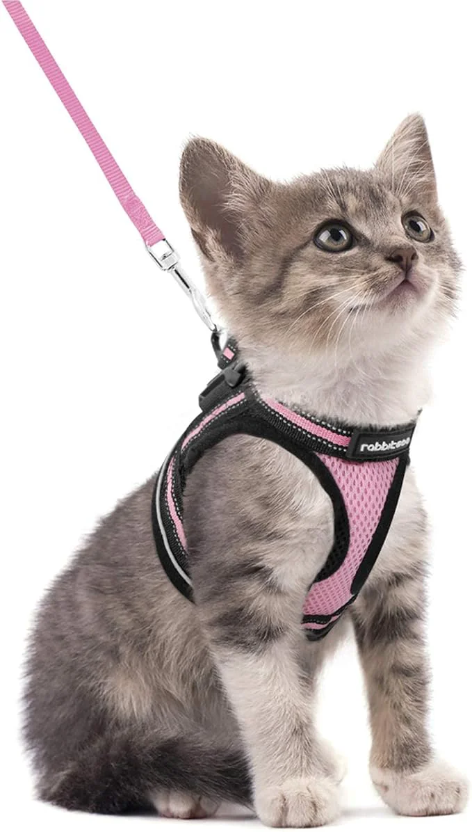 Elegant rabbitgoo Cat Harness and Leash Set Natural