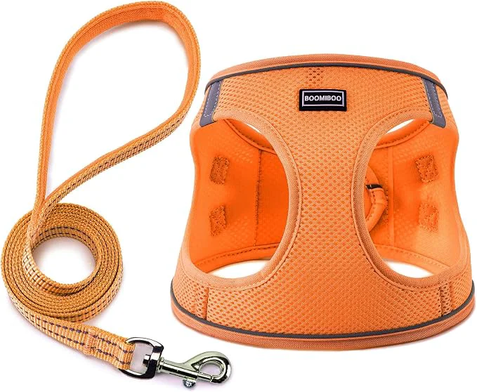 Traditional Dog Harness with Leash Set No Pull Adjustable Reflective Step-in Puppy Pet Specialty