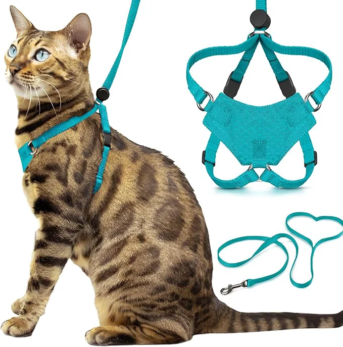 Sophisticated Houdini™ Escape Proof Cat Harness and Leash Set by OutdoorBengal – Turquoise First-Class
