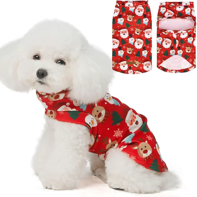 Relaxed EXPAWLORER Cat Christmas Sweater Contemporary