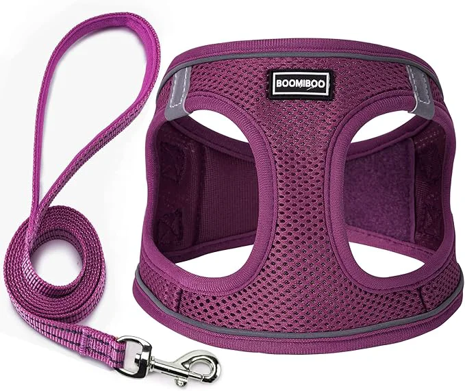Breathable Dog Harness with Leash Set No Pull Adjustable Reflective Step-in Puppy Pet Excellent