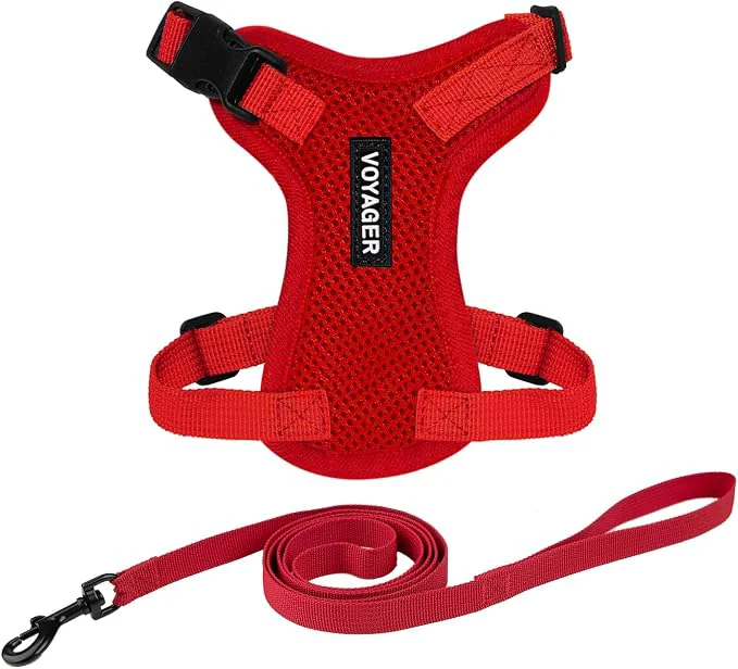 Elegant Voyager Escape-Proof Step-in Lock Cat Harness 5ft Neoprene-Handle Leash Set Expertly Made